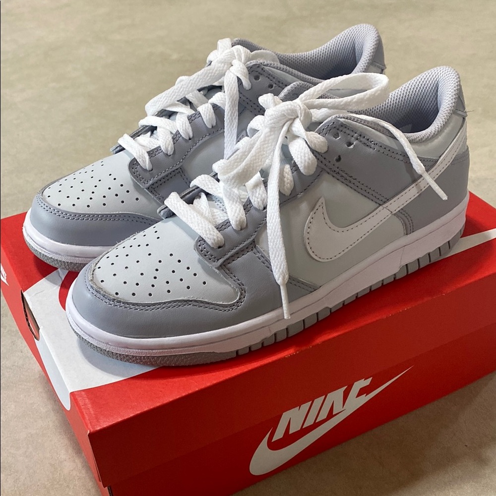 Nike Dunk Low-Top Gray and White Sneakers